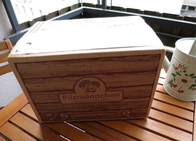 Pilzzuchtset gewinnen_Pilzmännchen