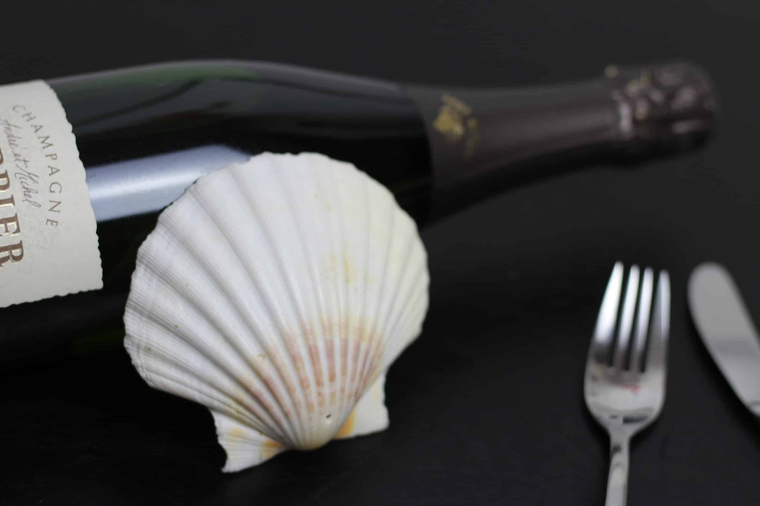 Jakobsmuscheln auf Champagner-Risotto
